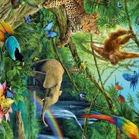 EXOTIC ANIMALS