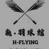 林口-H•Flying~ 飛。羽球館 臨打群