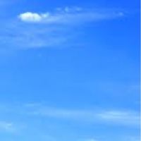 全國長照課