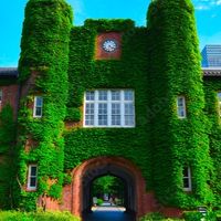 立教大学岩月ゼミOBOGグループ
