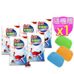每次2粒，配300cc溫水食用。多食無益。保存期限:3年保存方式:請置於常溫陰涼乾燥處，避免陽光直射，並請盡速食用完畢營養標示:每一份量1.2公克(2粒)本包裝含15份每份營養成分:熱量4.8大卡0%