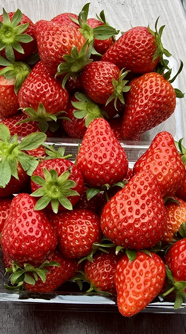 TY旨いもんクラブ🥳