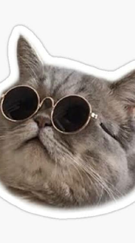 ไอต้าวแมวเหมียว Cat Lover