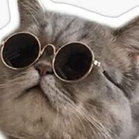 ไอต้าวแมวเหมียว Cat Lover
