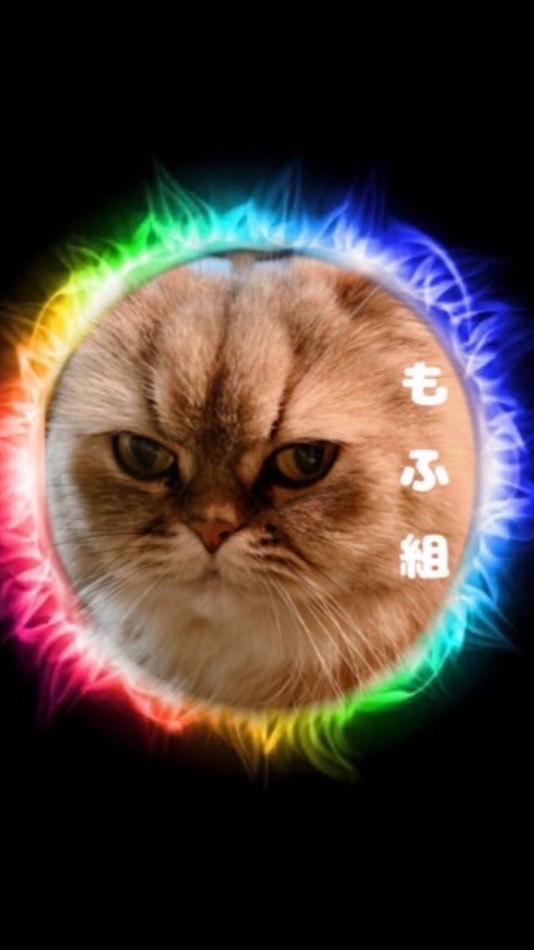 もふるいの日常