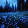 消えない記憶と眠れない夜に囁かれる、儚い恋の残響。