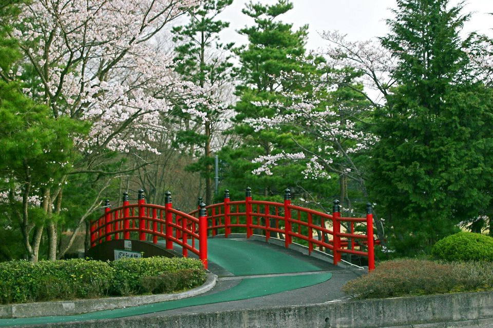 ニューセントラルゴルフ倶楽部 Line Official Account