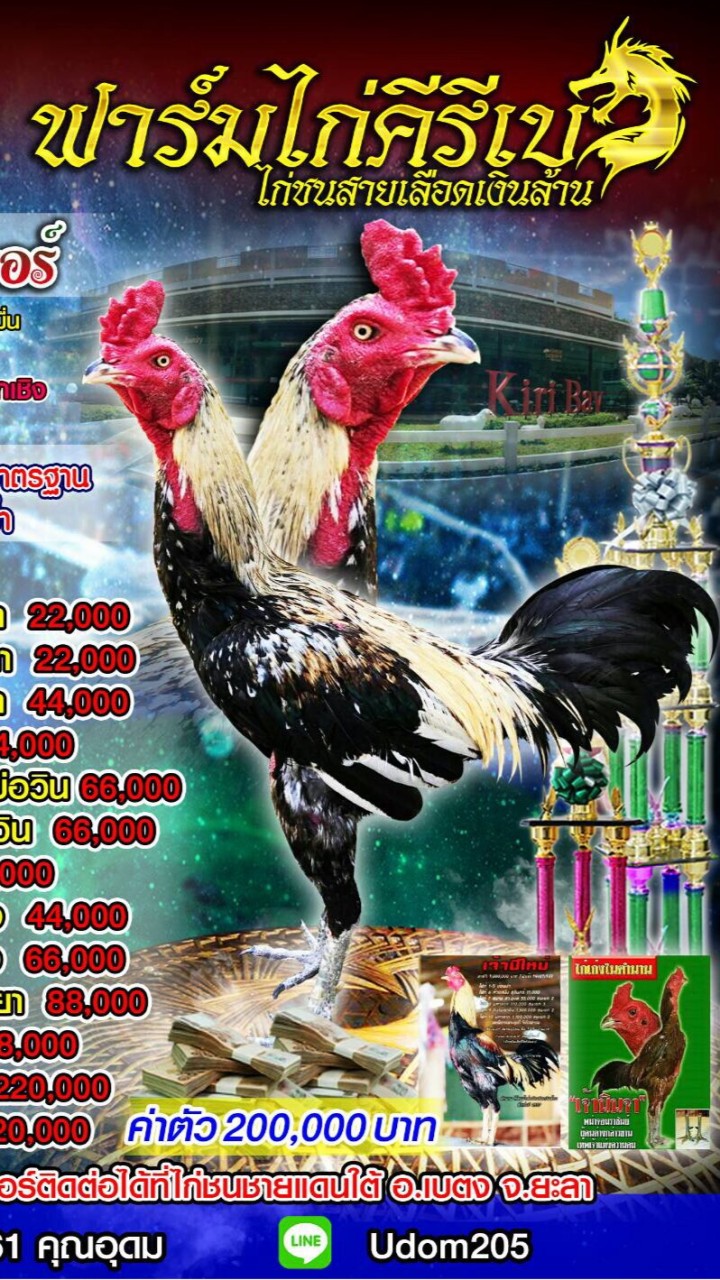 ฟาร์มไก่คีรีเบ