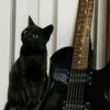 Black Cat cover