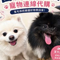 韓國寵物展、美妝連線代購5/31-6/3🇰🇷🐶🐈✈️