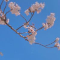 学生よアニメ制作しないかい？