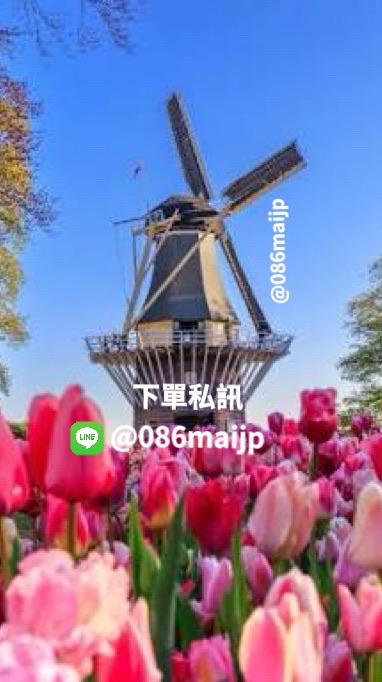 🇳🇱歐洲代購 8/4開始邊玩邊買✈️