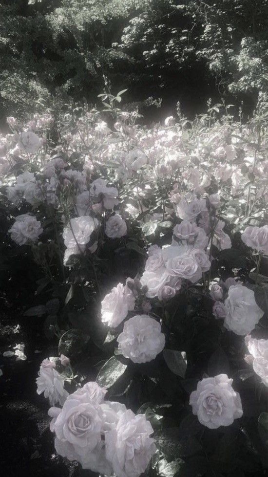 『ランペといい感じに』