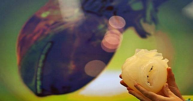 Ngeri, Ilmuwan Berhasil Bikin Miniatur Jantung Manusia dari Organ Tikus