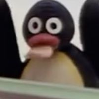 全 緩なり ‼️