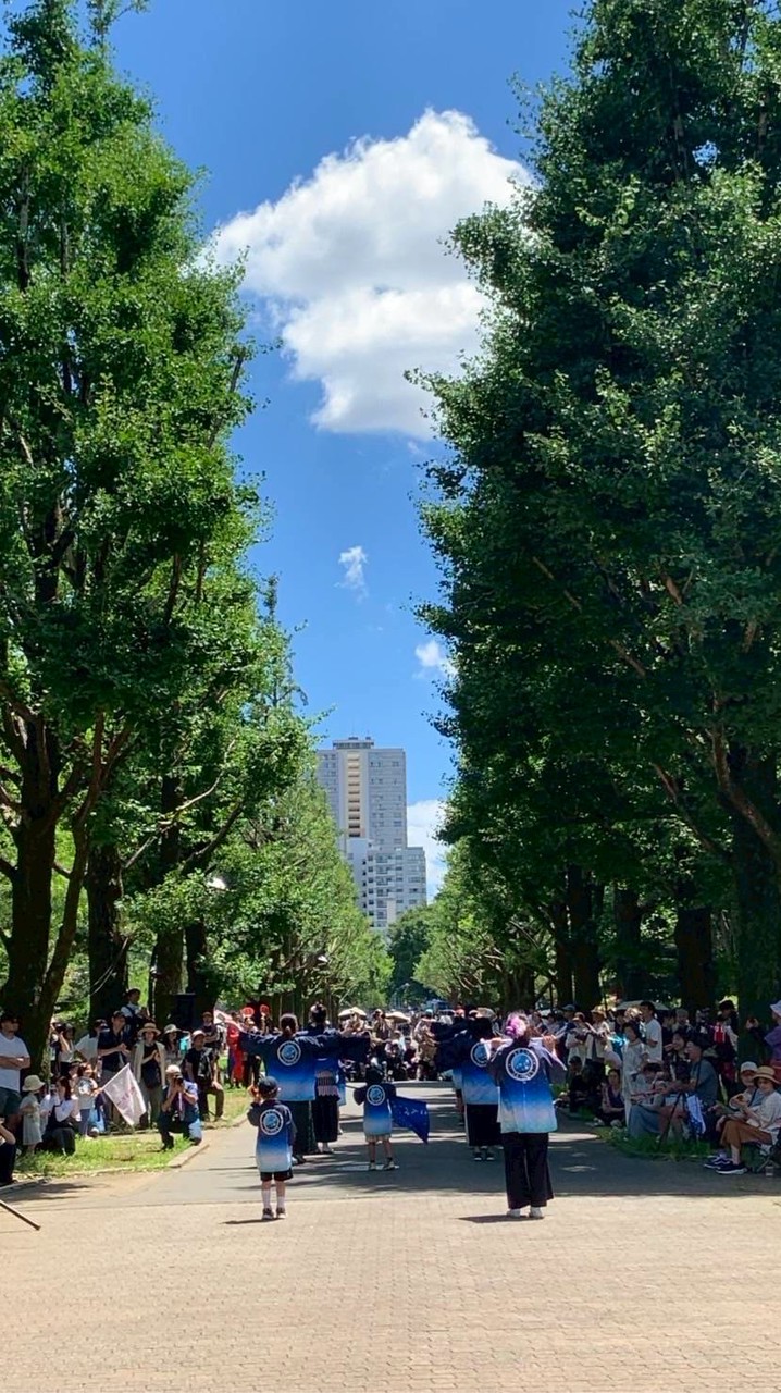 よさこい＊こんぺいとう案内所