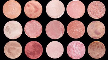 大家能分辨草苺月亮和火腿嗎？