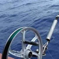 Surf Fishing