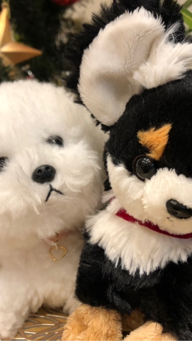 赤ちゃんとわんこの暮らし