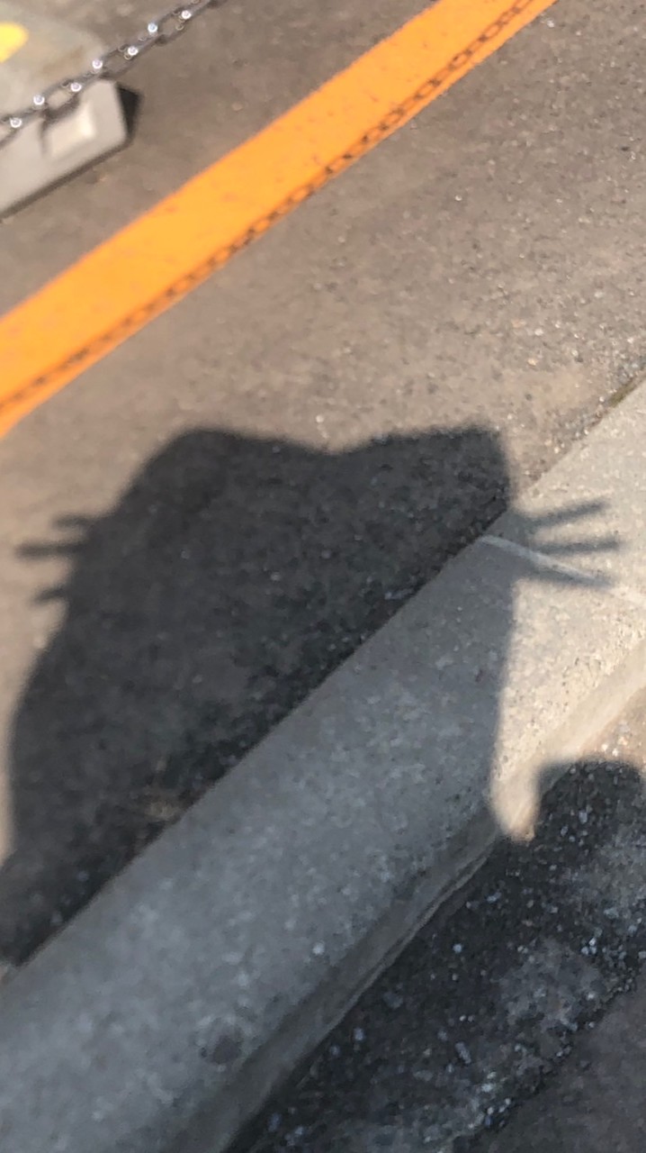 絹豆腐やで〜！