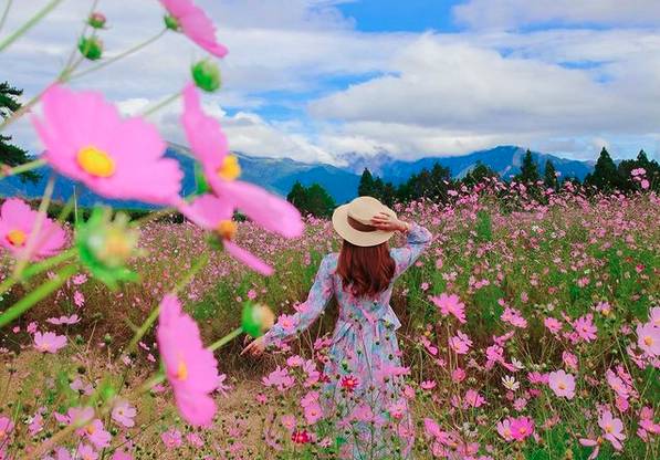 圖片來源：IG @ve_dj23