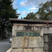 春から京教🌸