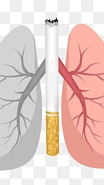 Tobacco Health-UBU-Sec1