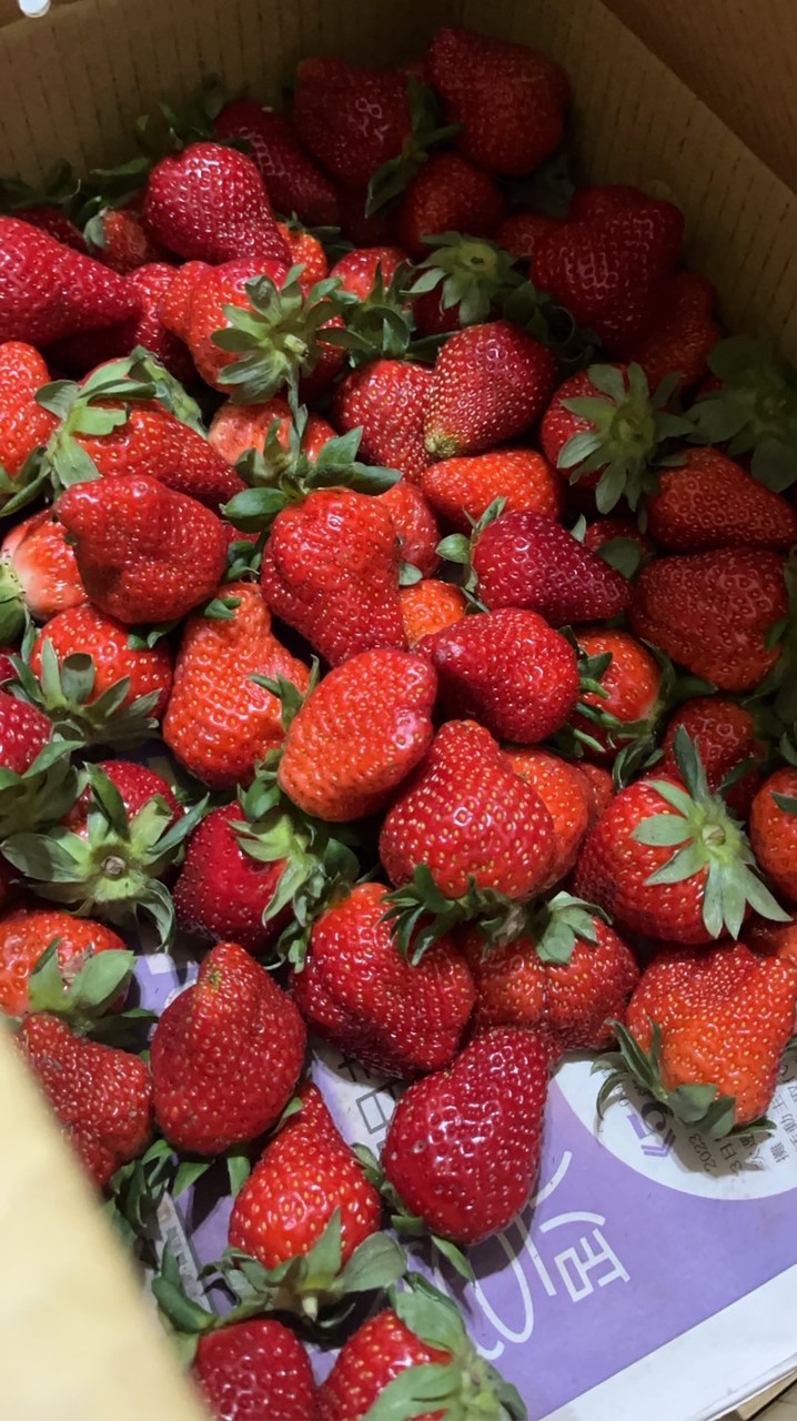草莓莓莓🍓