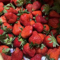 草莓莓莓🍓