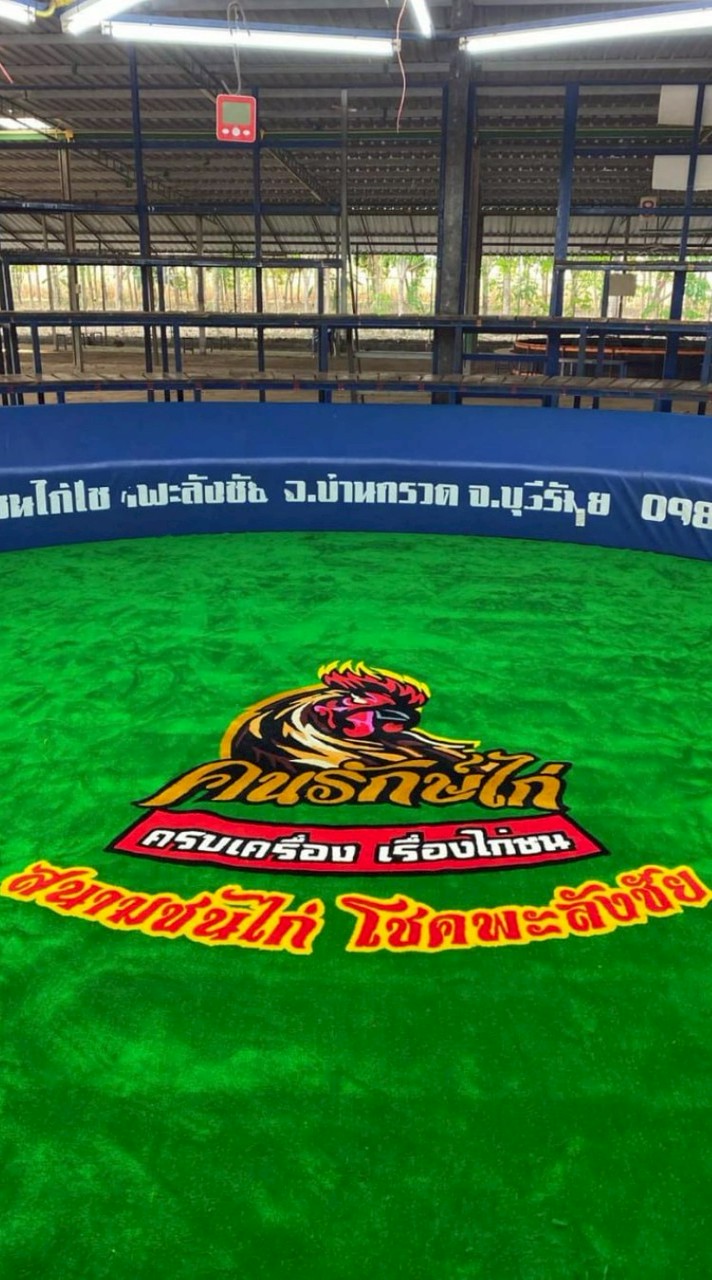 ข้อมูลข่าวสารไก่ชน คนรักษ์ไก่