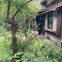 二年丙班｜雙峰113