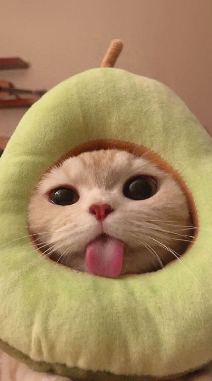 瘋掉的高中生