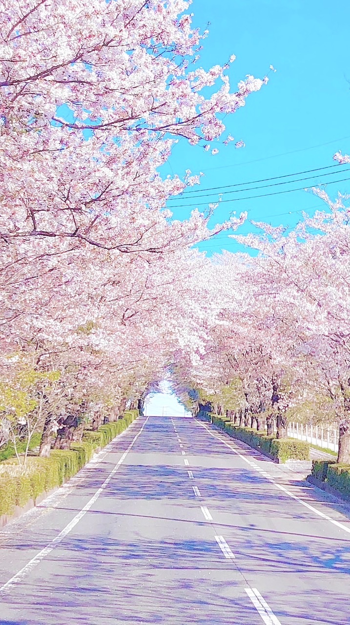 ちばらきバイク女子🌸千葉 茨城