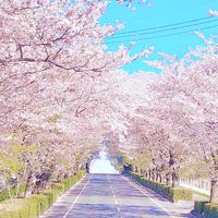 ちばらきバイク女子🌸千葉 茨城
