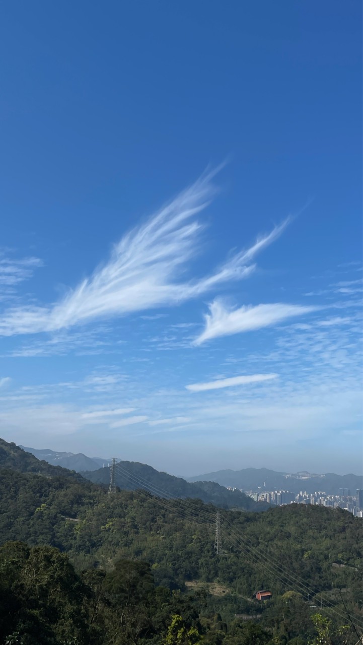 「沐羽」Feathered Bliss