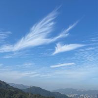 「沐羽」Feathered Bliss