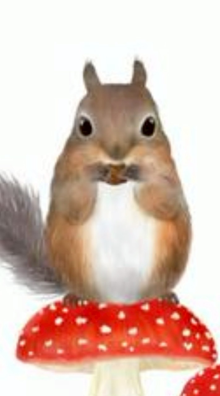 🐀ネズミ.小動物大好きさんのお部屋🐁ラット、デグー、モルモット、ハムスター、チンチラ、リス…