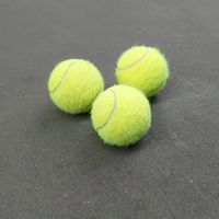 Tennis coach