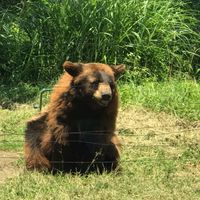 ラッキーなこと共有しよ