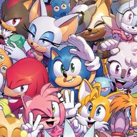 𝐒𝐨𝐧𝐢𝐜 𝐓𝐡𝐞 𝐡𝐞𝐝𝐠𝐞𝐡𝐨𝐠 ( SONIC )