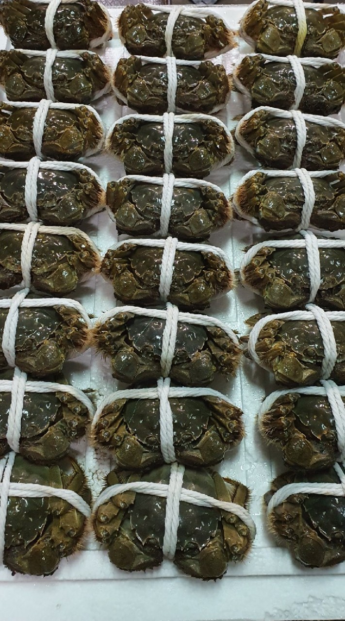 上游貨源買賣互惠群