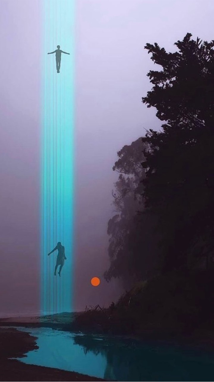 毅起聊交易