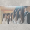 琥珀坂46　⌇﻿　7期生オーディション　⌇﻿　架空坂道