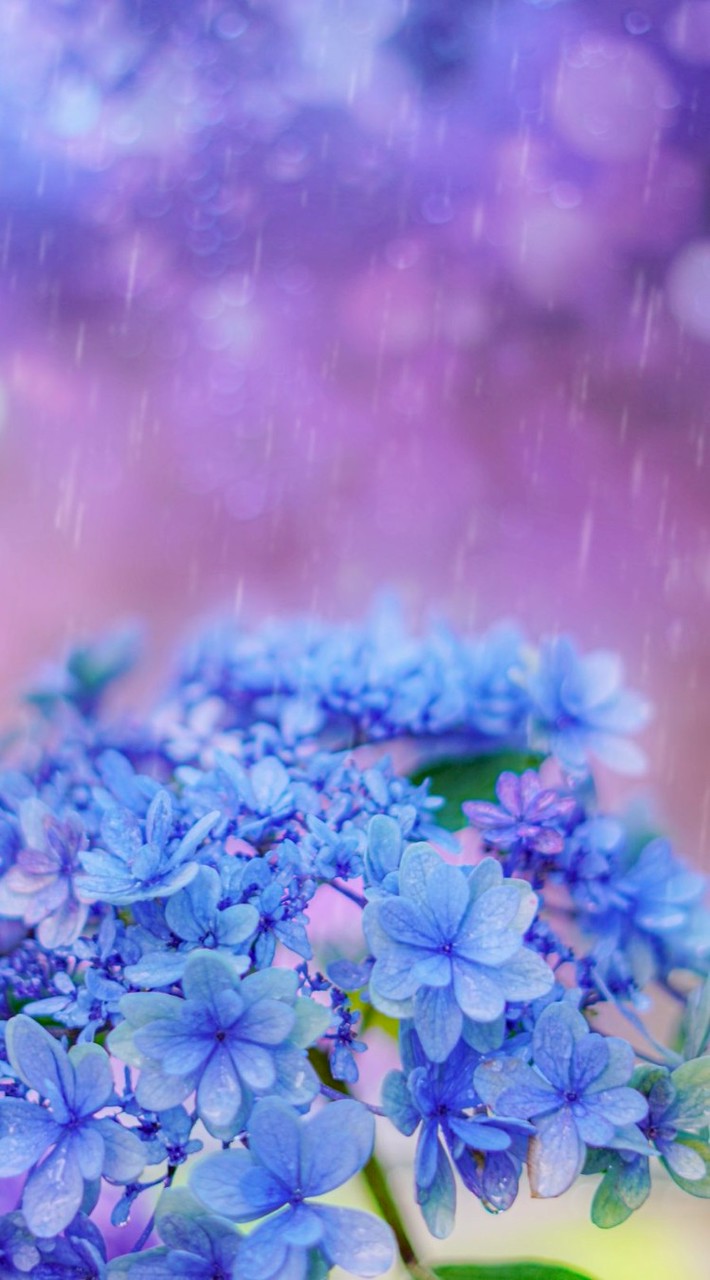 🦋カラオケ大好き♡素敵な音楽room🦋歌も音楽も楽しもう( ✿˘︶˘✿ ).｡.:* ♬*゜