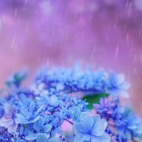 🦋カラオケ大好き♡素敵な音楽room🦋歌も音楽も楽しもう( ✿˘︶˘✿ ).｡.:* ♬*゜