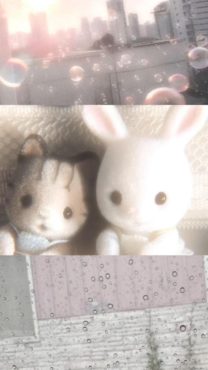 小紅書美妝衣物美瞳𖧧.𖥔 ݁ ˖⚘₊ ⊹𓏲🪽