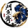 鬥魚齋｜展示級鬥魚專賣店