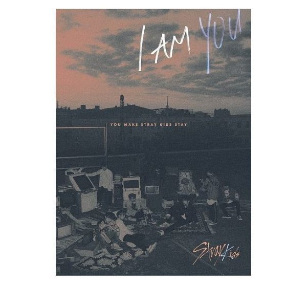 Stray Kids I am YOU Special Edition 台灣獨占精華盤 CD附DVD 免運 (購潮8)