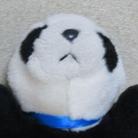 雑談