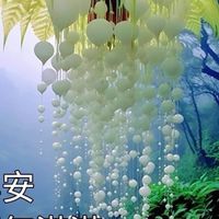 保健常識
